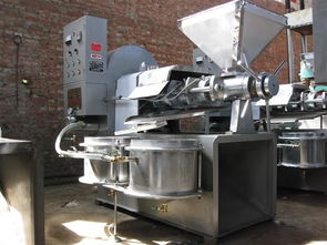 自動榨油機多少錢 液壓榨油機多少錢一套